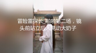   冒险雷探长_啪啪第二场，镜头前站立后入晃动大奶子