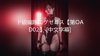 ド級編隊エグゼロス【第OAD02】 [中文字幕]