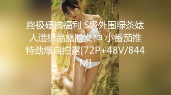 国模私房写真系列:风月夏优2012.11.03(S+HDV)