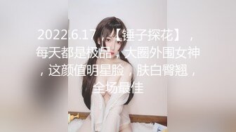 2022.6.17，【锤子探花】，每天都是极品，大圈外围女神，这颜值明星脸，肤白臀翘，全场最佳