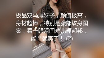 美乳猫奴 SM 网袜 女上位捆绑乳摇