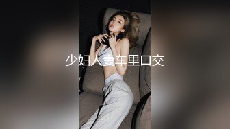 少妇人妻车里口交