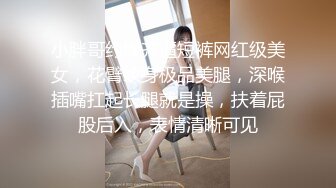   腰部以下全是腿 大长腿极品身材风骚人妻 性感蕾丝包臀裙给老公戴绿帽 勾引陌生大肉棒被干的哭腔呻吟2