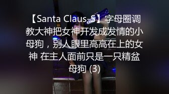 【Santa Claus-S】字母圈调教大神把女神开发成发情的小母狗，别人眼里高高在上的女神 在主人面前只是一只精盆母狗 (3)