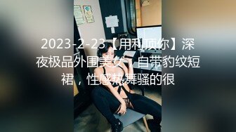 2023-2-23【用利顶你】深夜极品外围美女，自带豹纹短裙，性感热舞骚的很