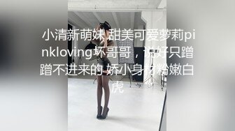 网友，女仆