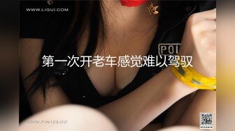 一本道 090221_001 何故、そんなに乳首がビンビンなの？ 青山未来