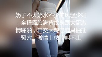 偷吃的好色女仆