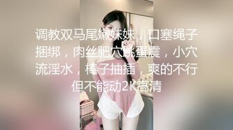 调教双马尾嫩妹妹，口塞绳子捆绑，肉丝肥穴跳蛋震，小穴流淫水，棒子抽插，爽的不行但不能动2K高清