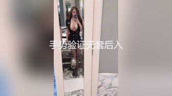 手势验证无套后入