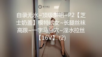 自录无水~顶级御姐~P2【芝士奶盖】模特欲女~长腿丝袜高跟~一字马掰穴~淫水拉丝【16V】 (2)