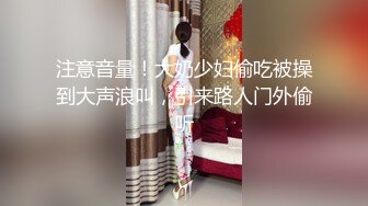 【全網首發】《極品反差☀淫妻泄密》真實騷妻純肉便器！推特網紅NTR頂級綠帽奴【色小敏】私拍，戶外露出啪啪3P被綠主肏懷孕～稀缺資源勁爆收藏 (7)