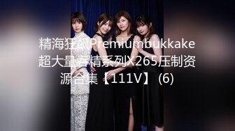 精海狂飙Premiumbukkake超大量吞精系列X265压制资源合集【111V】 (6)