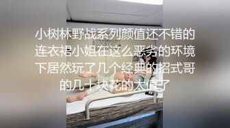 小树林野战系列颜值还不错的连衣裙小姐在这么恶劣的环境下居然玩了几个经典的招式哥的几十块花的太值了