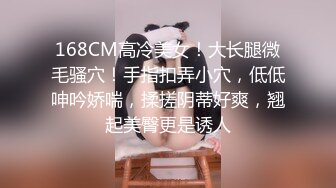    [中文字幕] ADN-505 與女友的姐姐有關係半年，每次見面都會進行中出。長谷川夕奈