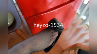 heyzo-1534