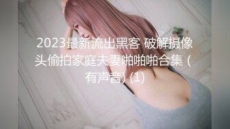 纯欲系双马尾小骚货，大奶子乳晕也是粉的，翘起美臀掰穴特写