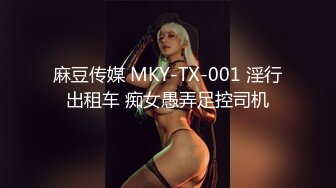 麻豆传媒 MKY-TX-001 淫行出租车 痴女愚弄足控司机