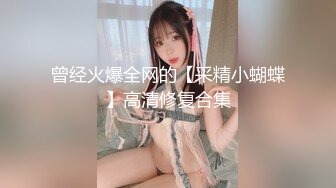 曾经火爆全网的【采精小蝴蝶】高清修复合集