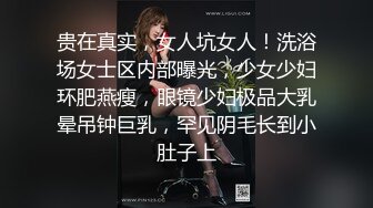 粉批＆少女感＆吹箫小可爱」P站★★★博主YourSofia手动去重合集【128V (10)