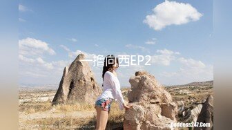 一撸向西EP2