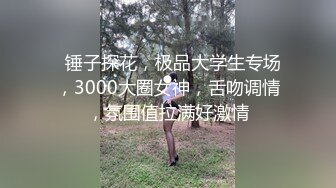   锤子探花，极品大学生专场，3000大圈女神，舌吻调情，氛围值拉满好激情