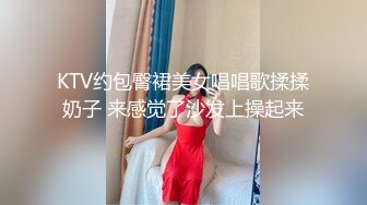 KTV约包臀裙美女唱唱歌揉揉奶子 来感觉了沙发上操起来