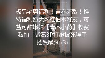 极品宅男福利！青春无敌！推特福利姬大网红柚木好友，可盐可甜嫩妹【青木小荷】收费私拍，紫薇3P打炮被死胖子摧残蹂躏 (3)