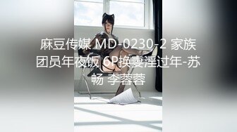 麻豆传媒 MD-0230-2 家族团员年夜饭 6P换妻淫过年-苏畅 李蓉蓉