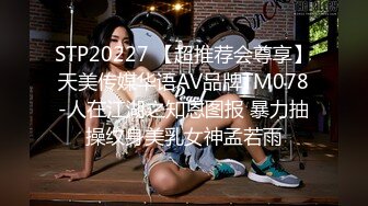 STP20227 【超推荐会尊享】天美传媒华语AV品牌TM078-人在江湖之知恩图报 暴力抽操纹身美乳女神孟若雨