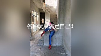 各种玩具满足自己3