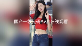 国产一级无码Av片在线观看