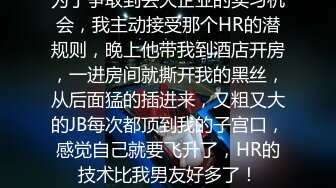 为了争取到去大企业的实习机会，我主动接受那个HR的潜规则，晚上他带我到酒店开房，一进房间就撕开我的黑丝，从后面猛的插进来，又粗又大的JB每次都顶到我的子宫口，感觉自己就要飞升了，HR的技术比我男友好多了！