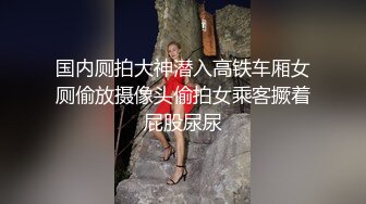 国内厕拍大神潜入高铁车厢女厕偷放摄像头偷拍女乘客撅着屁股尿尿