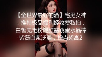 【全世界最好的酒】宅男女神，推特极品福利姬收费私拍，白皙无毛粉鲍肛塞跳蛋水晶棒紫薇白浆泛滥，撸点超高2