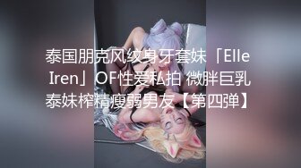 泰国朋克风纹身牙套妹「Elle Iren」OF性爱私拍 微胖巨乳泰妹榨精瘦弱男友【第四弹】