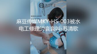 麻豆传媒MKY-HS-003被水电工修理的哀哀叫-苏清歌