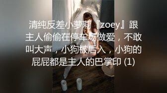 清纯反差小萝莉『zoey』跟主人偷偷在停车场做爱，不敢叫大声，小狗被后入，小狗的屁屁都是主人的巴掌印 (1)