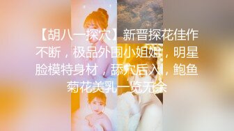 【胡八一探穴】新晋探花佳作不断，极品外围小姐姐，明星脸模特身材，舔穴后入，鲍鱼菊花美乳一览无余