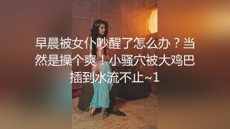 魔劍公主的性感騷姿 1