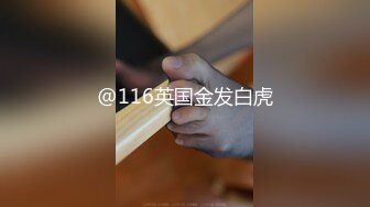 @116英国金发白虎