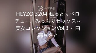 HEYZO 3204 ねっとりベロチュー、みっちりセックス～美女コレクションVol.3～ 白高ちさと