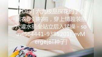 [2DF2] 六九极品探花约了个黑衣少妇啪啪，穿上情趣装掰穴灌水骑坐站立后入猛操 - soav(564441-9385201)_evMerge[BT种子]