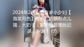 2024年2月安徽良家小少妇【海棠月色】有点儿腼腆有点儿骚，大奶子，家中性爱黑丝记录，刺激！ (3)