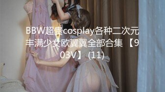 BBW超贵cosplay各种二次元丰满少女欧翼翼全部合集 【903V】 (11)