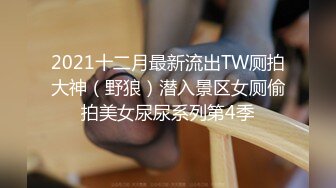 2021十二月最新流出TW厕拍大神（野狼）潜入景区女厕偷拍美女尿尿系列第4季