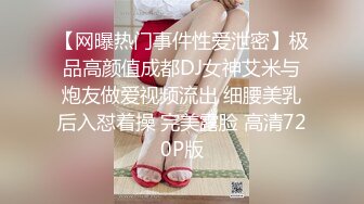 6/16最新 南京爆乳孕妇自慰抠逼喷尿激情户外VIP1196