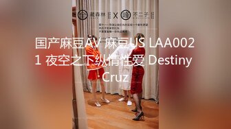 国产麻豆AV 麻豆US LAA0021 夜空之下纵情性爱 Destiny Cruz