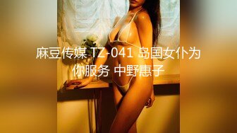 麻豆传媒 TZ-041 岛国女仆为你服务 中野惠子