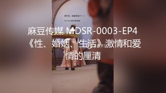 麻豆传媒 MDSR-0003-EP4《性、婚姻、生活》激情和爱情的厘清